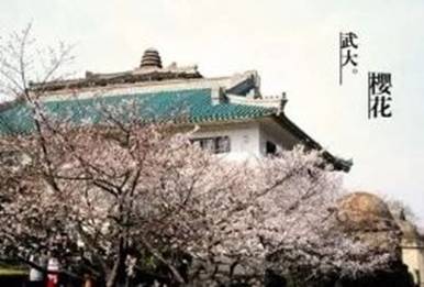 mmexport1588151640233